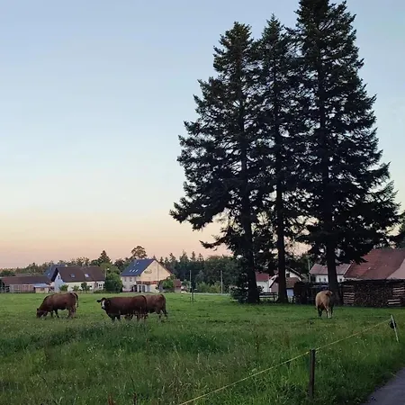 Chickenhill Blackforest, Grosse Im Schwarzwald Bad Wildbad