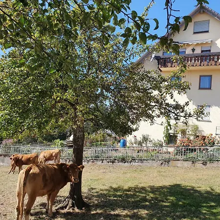 Chickenhill Blackforest, Großhans Apartment Bad Wildbad